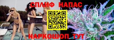 спайс Берёзовский