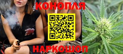 спайс Берёзовский