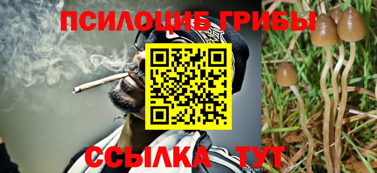 Галлюциногенные грибы Cubensis  Вход с VPN  Белебей 