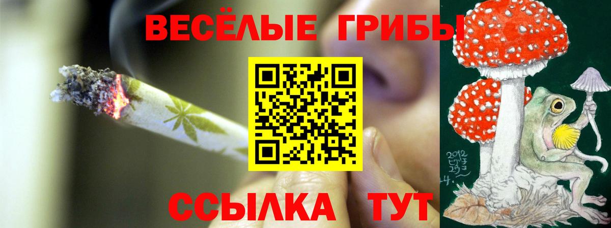 Псилоцибиновые грибы прущие грибы Белебей